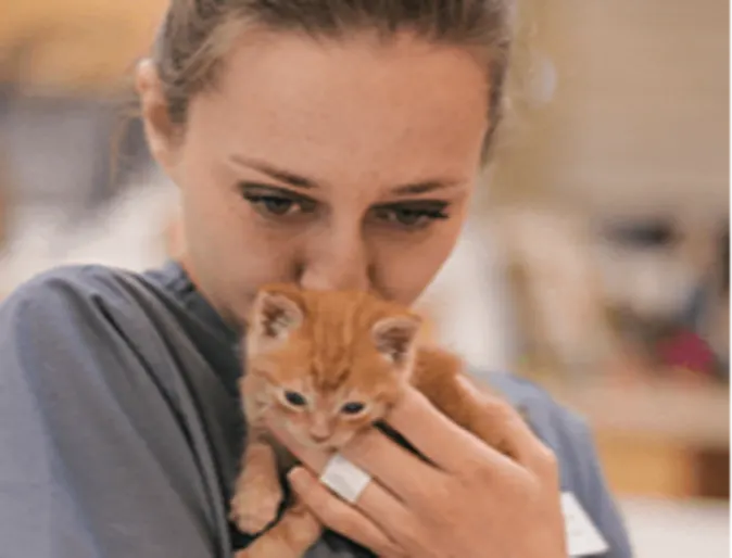 A veterinarian kissing a small kitten